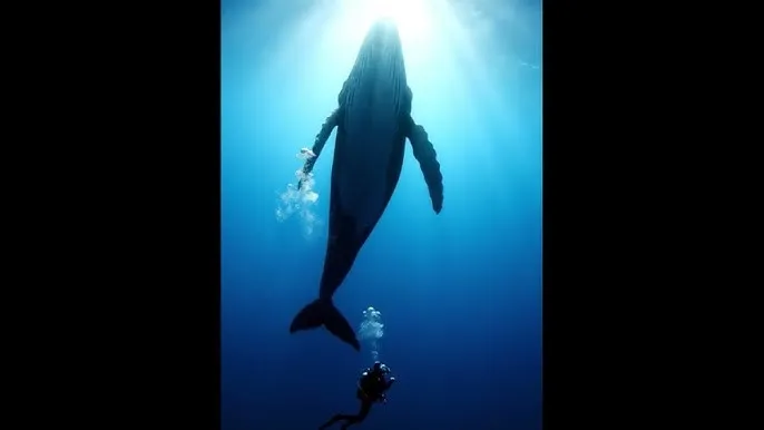 6月3日蚂蚁庄园答案 - 深蓝星球：探索海洋深处的未知世界